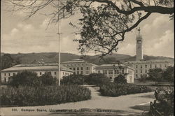 Campus Scene, University of California Postcard