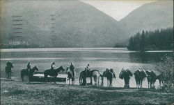 Watering Horses at Lake - Northwest Airlines Postcard