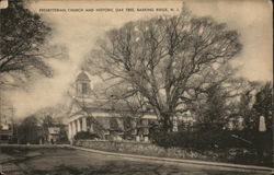 Presbyterian Church and Historic Oak Tree Basking Ridge, NJ Postcard Postcard Postcard