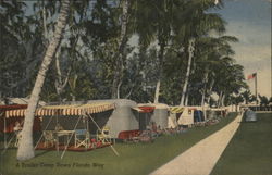 Trailer Camp Florida Postcard Postcard Postcard