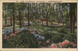 Oriental Gardens Jacksonville, FL Postcard Postcard Postcard