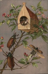 Birdhouse with Beetles Postcard