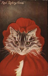 Red Riding Hood - Cat Wearing Red Cape and Hood Cats Postcard Postcard