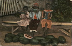 A Watermelon Feast Black Americana Postcard Postcard