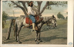 U. S. Government Indian Scout on Horseback, Fort Apache, AZ Native Americana Postcard Postcard