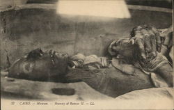 Mummy of Ramses II Postcard