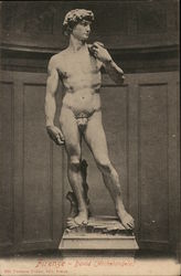 Michelangelo's David Sculpture & Carving Postcard Postcard Postcard