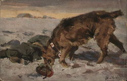 Medical Casualty Dog Picking Up Helmet of Soldier War Victim Military Postcard Postcard