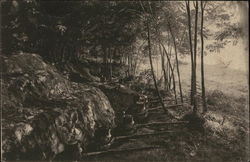 Soldiers in Trench with Rifles Aimed Postcard