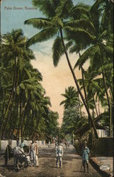 Palm Grove Bombay (Mumbai), India Postcard Postcard