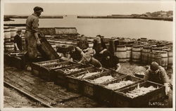 Herring Gutters Postcard