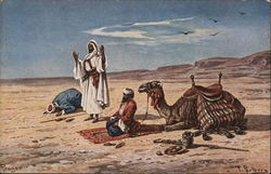 Prayer Arab Postcard Postcard