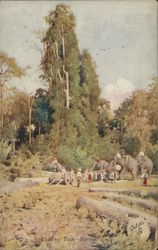 Loading Teak in Burma Postcard