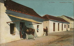 Fruit vendors La Linea, Spain Postcard Postcard Postcard