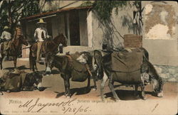 Mexico Arrieros cargando pulque Postcard Postcard