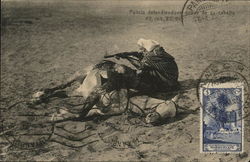 Police defending behind his horse Postcard