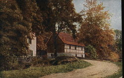 A cabin house in the woods Postcard