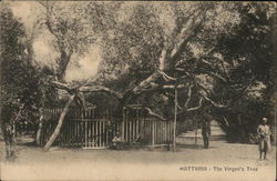 Mattaria - The Virgen's Tree Egypt Africa Postcard Postcard