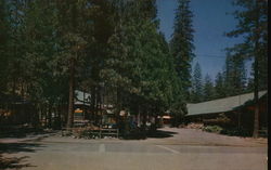 Ducey's Bass Lake Lodge California Postcard Postcard Postcard