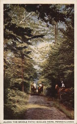 Along the Bridle Path Eagles Mere, PA Postcard Postcard Postcard