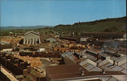 Overview of a Sawmill Postcard