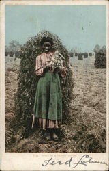 Polly in a Peanut Patch Postcard