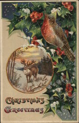 Christmas Greetings Postcard Postcard