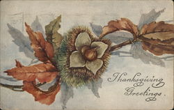 Thanksgiving Greetings Postcard Postcard