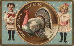 Thanksgiving Greetings Postcard