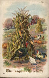 Thanksgiving Greetings Postcard