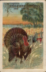 Thanksgiving Greetings Postcard