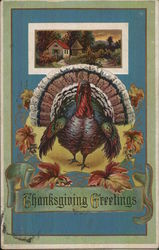 Thanksgiving Greetings Postcard