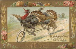 Thanksgiving Greetings Postcard