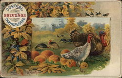 Cordial Thanksgiving Greetngs Postcard