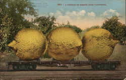 A Carload of Lemons from California Exaggeration Postcard Postcard