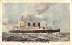 T.S.S. Caledonia - Anchor Line Postcard