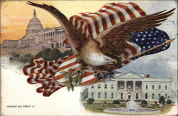 Eagle Standing on Shield with Flag Patriotic Postcard Postcard