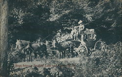 Stagecoach between Spofford Lake and Keene New Hampshire Postcard Postcard Postcard