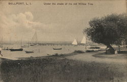 Under the Shade of the Old Willow Tree Postcard