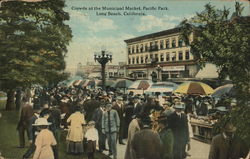 Crowds at the Municipal Market, Pacific Park Long Beach, CA Postcard Postcard Postcard