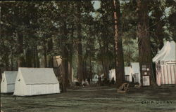 Camp Curry Postcard