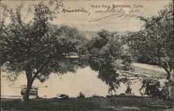 Bird's Pond Bethlehem, CT Postcard Postcard Postcard