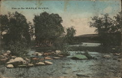 View on the Maple River Reed, ND Postcard Postcard Postcard