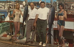 Sport Tuna Fishing, Cape May Marina Postcard