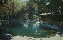 Mt. Baldy Trout Ponds Postcard