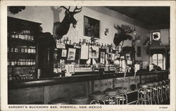 Sargent's Buckhorn Bar Postcard