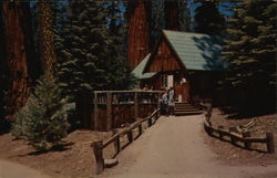 Giant Forest Lodge Sequoia National Park, CA Sequoia & Kings Canyon National Parks Postcard Postcard Postcard