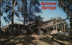 Rainbow Springs Postcard