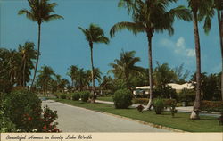 Beautiful Homes in Lovely Lake Worth Postcard