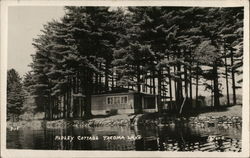 Ridley Cottage, Tacoma Lake Postcard